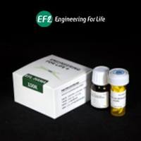EFL货号EFL-HAMA-150K甲基丙烯酰化透明质酸(Hyaluronic acid Methacryloyl,HAMA)上海睿安生物13611631389