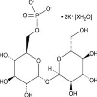 Trehalose 6-phosphate (potassium salt hydrate)