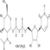 UDP-N-acetyl-D-Glucosamine (sodium salt hydrate)