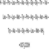 GRP (human) (trifluoroacetate salt)