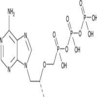 Tenofovir diphosphate (sodium salt)