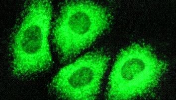 金秋十月，欢度国庆