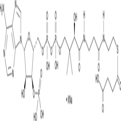 Succinyl-Coenzyme A (sodium salt)