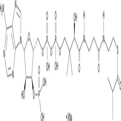 Isobutyryl Coenzyme A (sodium salt)