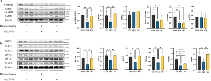QPCR检测 QPCR检测