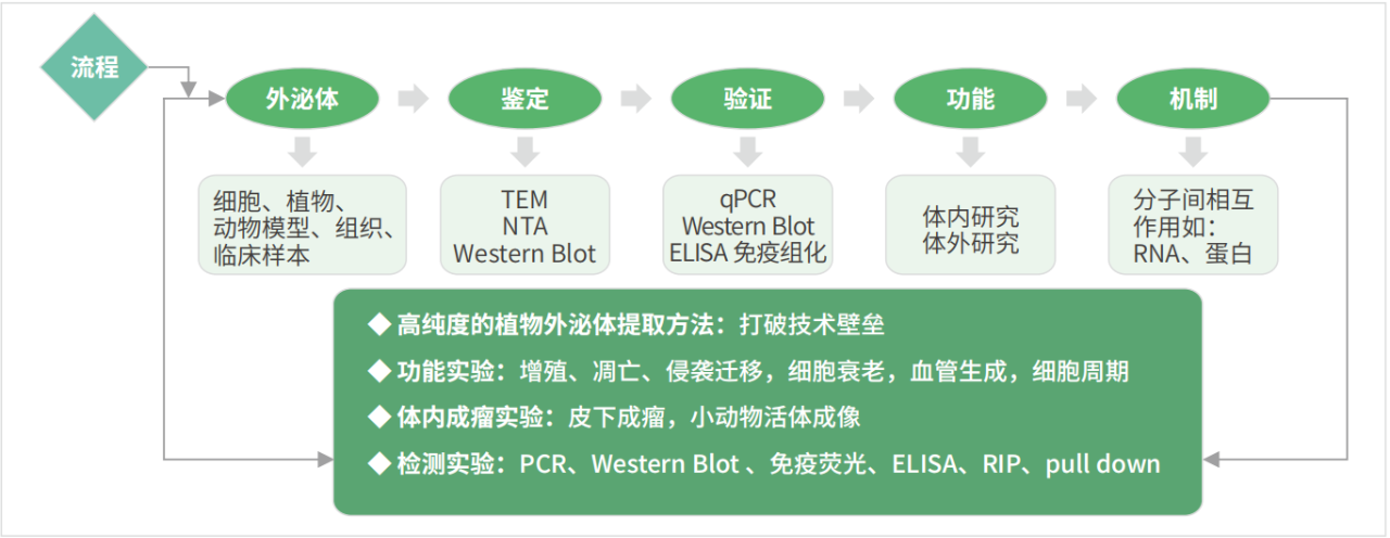 中药的现代诠释：外泌体如何革新传统医学？