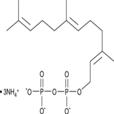 Farnesyl Pyrophosphate (ammonium salt)