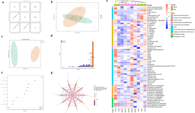 外泌体技术服务 外泌体技术服务