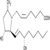 9-deoxy-9-methylene Prostaglandin E2