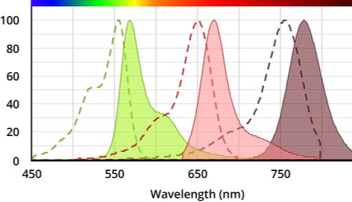 抗体/蛋白标记染料选择指南及常见问题解答