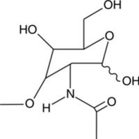 3-O-methyl-N-acetyl-D-Glucosamine