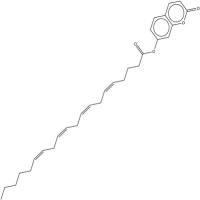 7-hydroxycoumarinyl Arachidonate