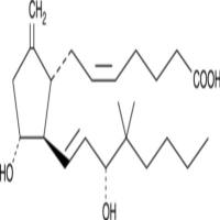 9-deoxy-9-methylene-16,16-dimethyl Prostaglandin E2