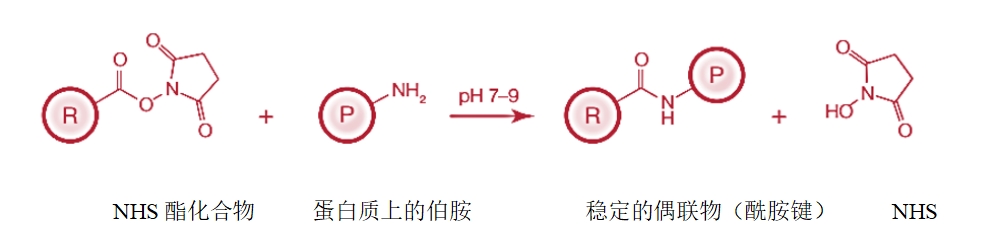 新闻图片1
