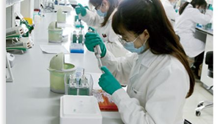 Solarbio分析标准品推介会|第十三期