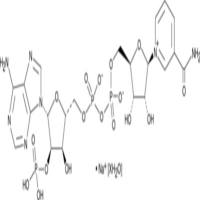 NADP+ (sodium salt hydrate)