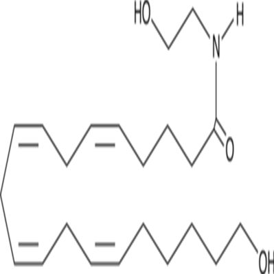 20-HETE Ethanolamide