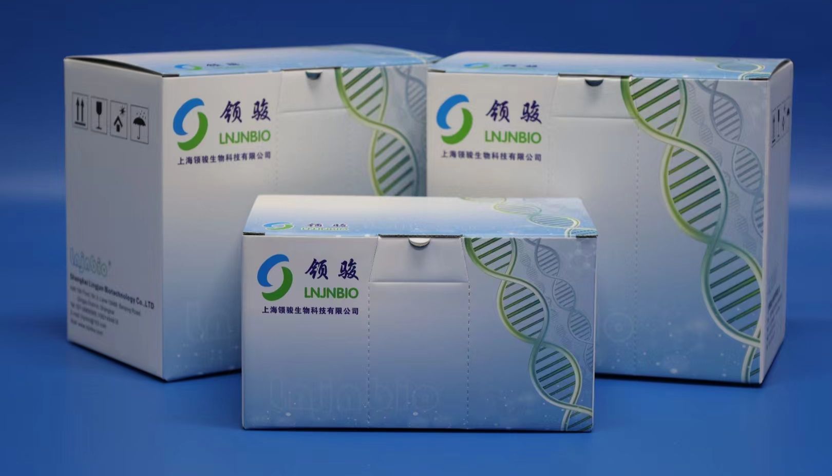 病毒核酸在宿主细胞内还是细胞外？