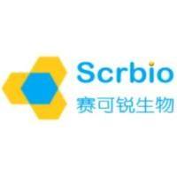 卡博特韦及其同位素标记物-上海赛可锐 现货