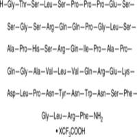Kisspeptin-54 (human) (trifluoroacetate salt)