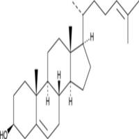 24-dehydro Cholesterol