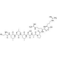 p5 Ligand for Dnak and DnaJ