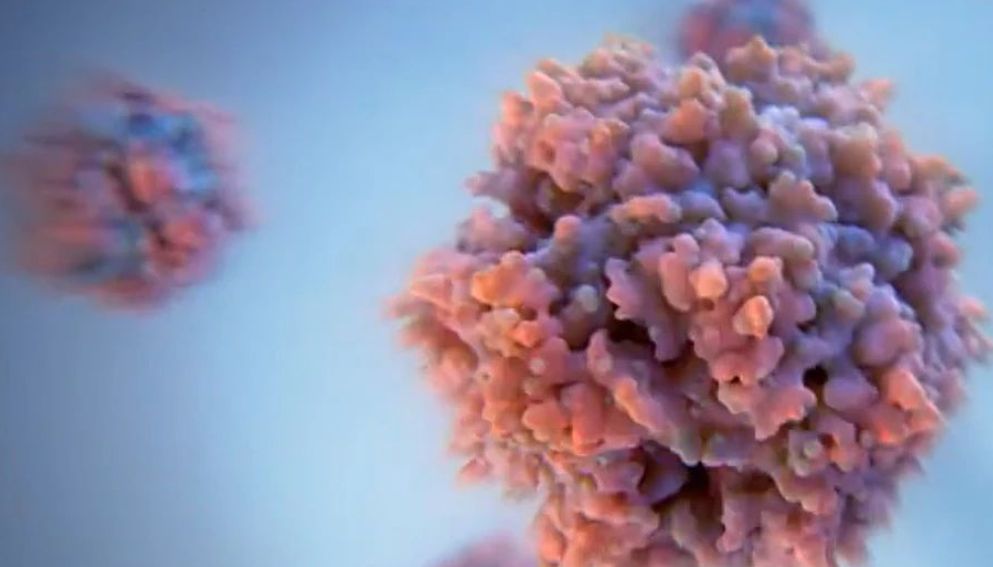 精选 | AAV生产滴度倍增的工艺优化新策略_PEI转染试剂