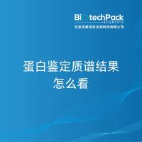 蛋白鉴定质谱结果怎么看-百泰派克生物科技