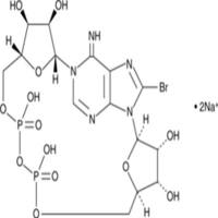 8-bromo-Cyclic ADP-Ribose (sodium salt)
