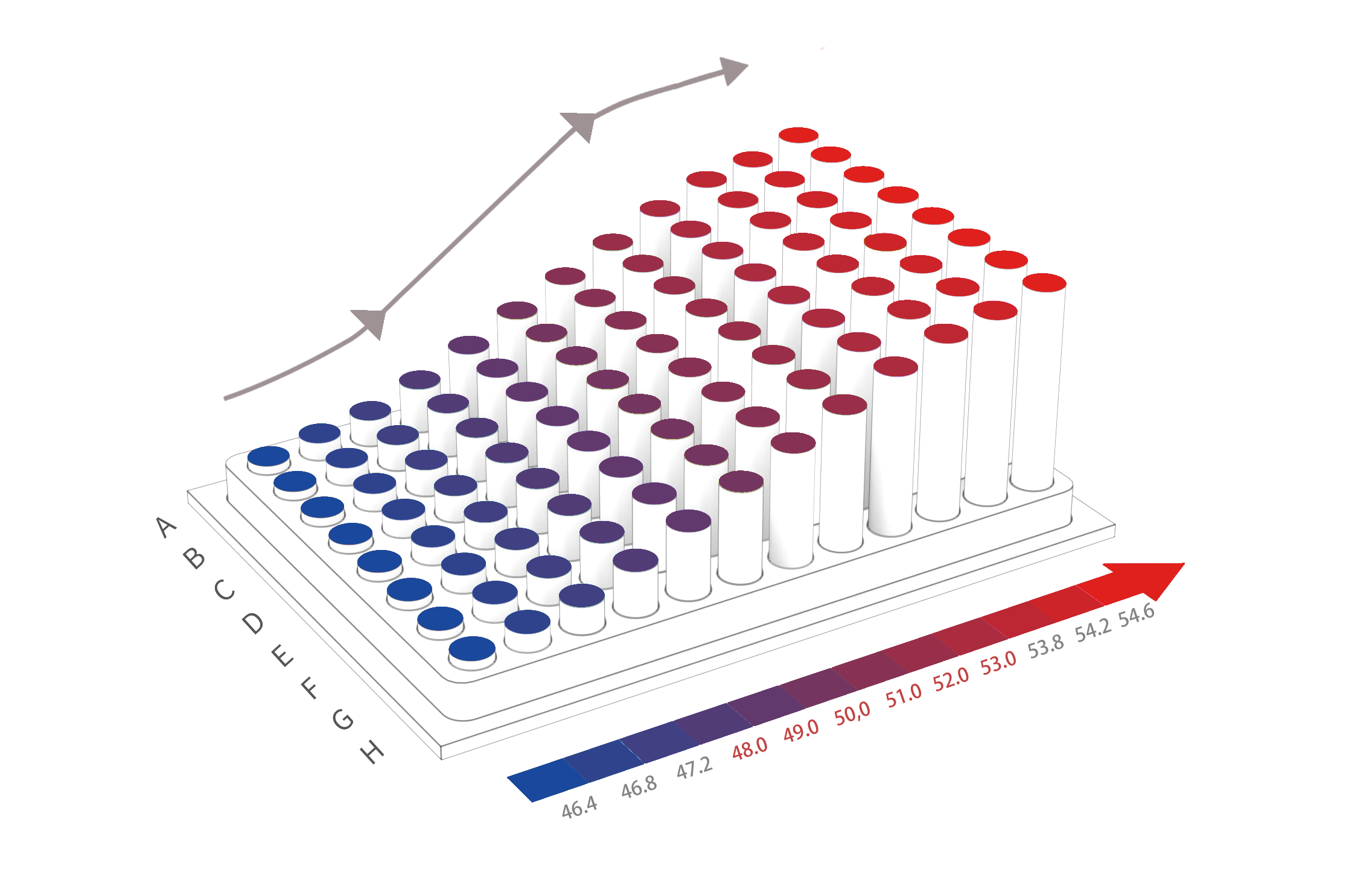 【柏恒科技小课堂】线性梯度、二维梯度PCR仪，你了解多少？