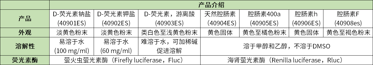 肿瘤模型观测遇难题？活体成像技术来解忧！