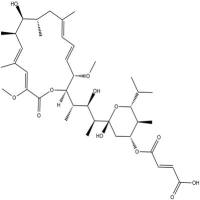 Bafilomycin C1