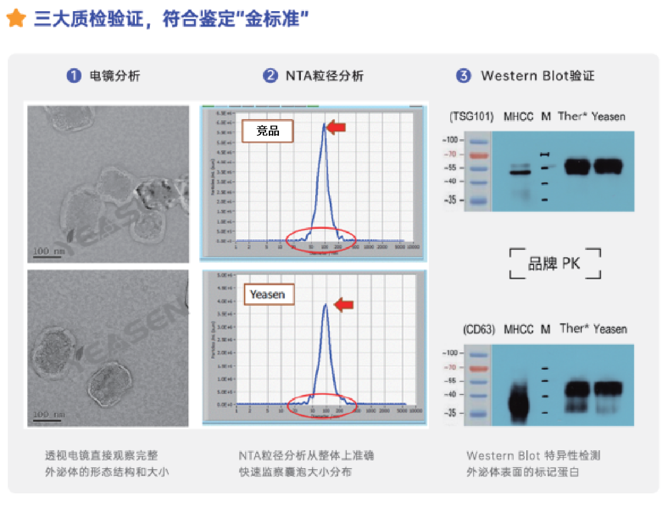 新闻图片6