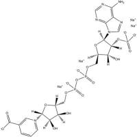 NAADP tetrasodium salt