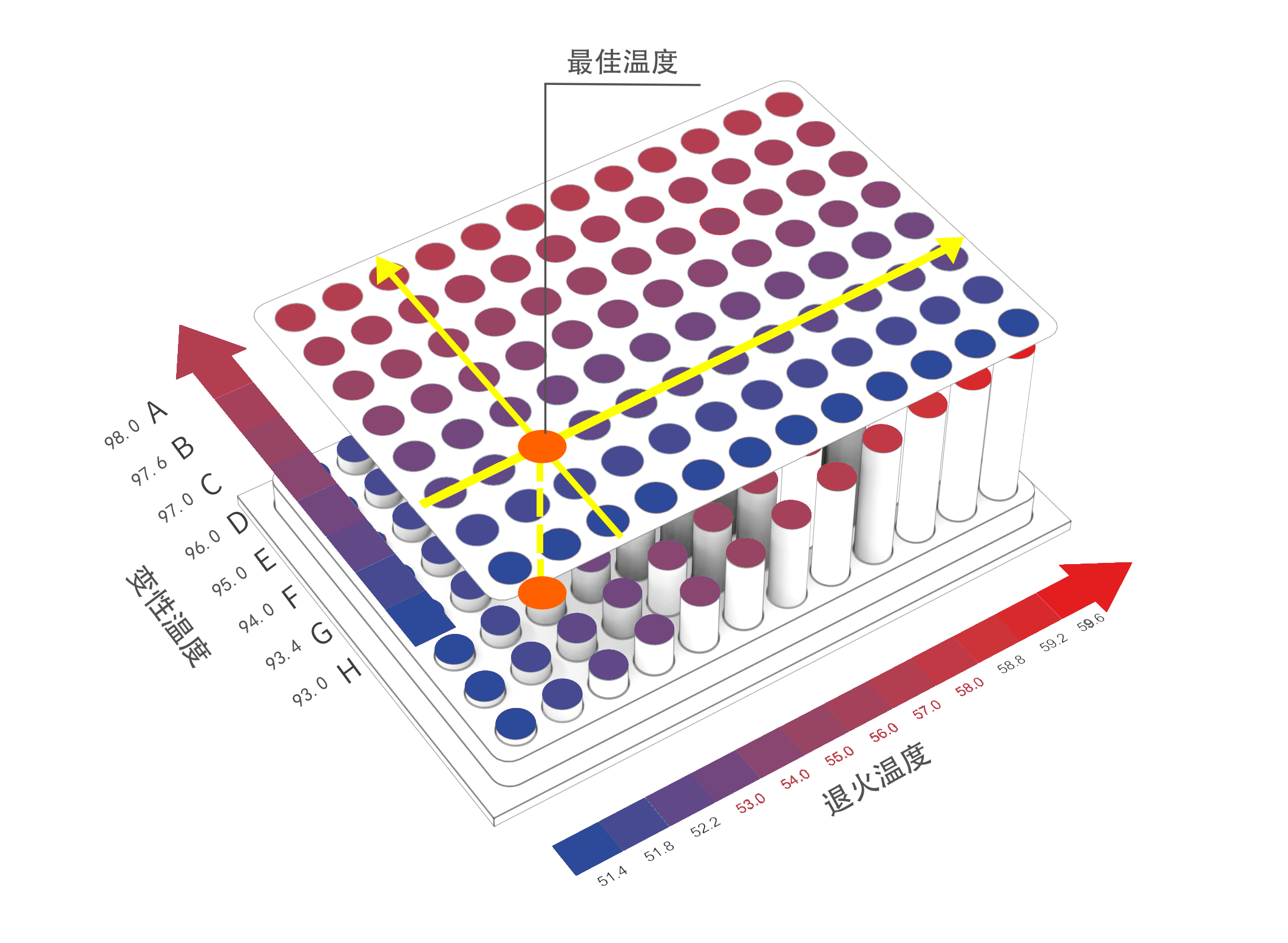 【柏恒科技小课堂】线性梯度、二维梯度PCR仪,你了解多少?