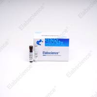 EasySort™ Mouse CD8+T Cell Isolation Kit