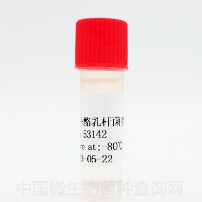 类干酪乳杆菌类干酪亚种