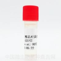 类干酪乳杆菌类干酪亚种