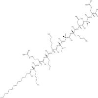 Pep2m, myristoylated