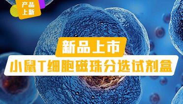 Elabscience新品上市 | 小鼠T细胞磁珠分选试剂盒重磅来袭