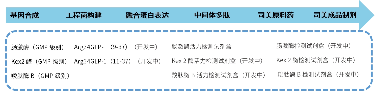 生产加速器：重组肠激酶助力司美格鲁肽高效制造