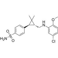 BNC375