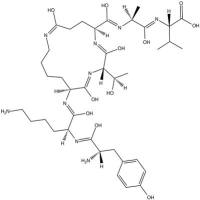 PDZ1 Domain inhibitor peptide