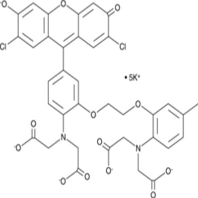 Fluo-3 (potassium salt)
