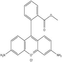 Rhodamine 123 (chloride)