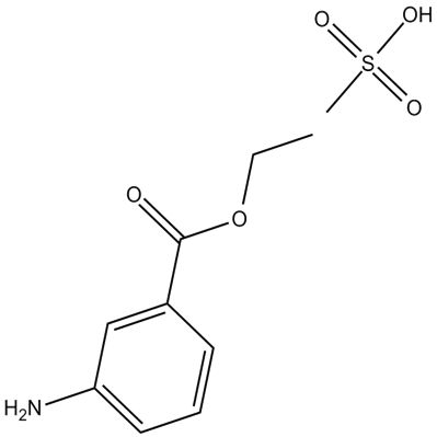 Ethyl 3-Aminobenzoate (methanesulfonate)产品图