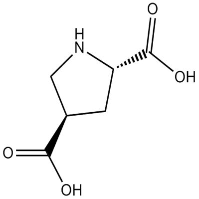 L-trans-2,4-PDC
