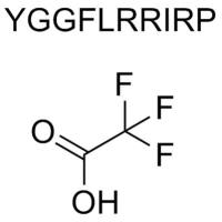 Dynorphin A (1-10) TFA