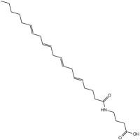 N-ArachidonylGABA