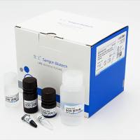 D799575-0050/D799576-0100生工氨酸PRO含量检测试剂盒比色微量法